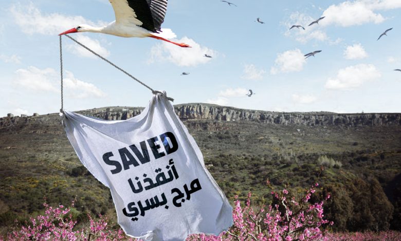 Photo Credit: الحملة الوطنية للحفاظ على مرج بسري